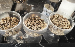 Giá cà phê hôm nay 22-3: Khép lại tuần vui cho nông dân