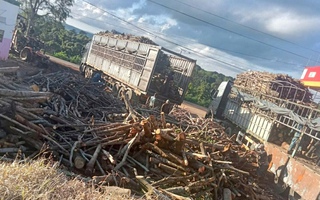 RỪNG VẪN "CHẢY MÁU": Căng mình nơi biên giới