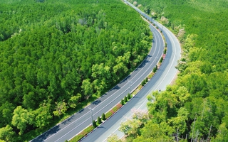 Một tuyến đường đang "đốn tim" giới trẻ TPHCM