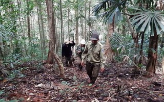 "Báu vật" Chư Mom Ray giữa đại ngàn Tây Nguyên