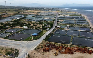 Điện hạt nhân quyết định sự tự chủ về năng lượng