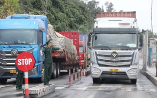 Đề xuất kéo dài tạm ngưng Nghị định 46, Nghị quyết 66.13