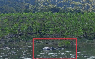 Gia Lai: Điều tra vụ người đàn ông chết chưa rõ nguyên nhân ở hồ Đá Trải