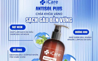 Chiết xuất Đỗ Tùng và Hương Nhu Trắng: Giải pháp từ dược liệu cho da đầu gàu