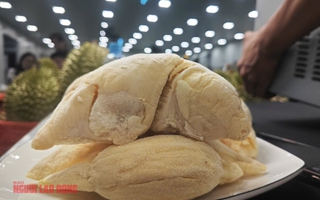 Sầu riêng Ri 6 Việt Nam áp đảo chợ châu Á ở Mỹ