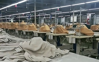 Bị nợ lương từ 6 tháng, người lao động có quyền yêu cầu áp dụng thủ tục phá sản doanh nghiệp