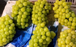 Việt Nam chi hàng trăm triệu USD nhập khẩu nho tươi Trung Quốc