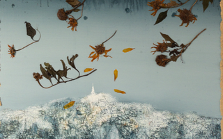 "Giấc mộng Hồng hoàng" của những trải nghiệm sáng tạo nghệ thuật