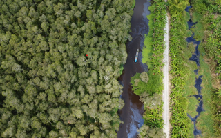 Sẵn sàng ứng phó trước nguy cơ cháy rừng ở U Minh Hạ