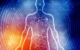 Tập thể dục đúng cách, một phần cơ thể có thể "hồi xuân"