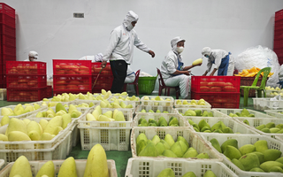 Linh hoạt, bình tĩnh ứng phó