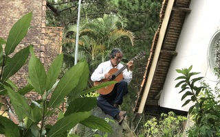 Giọt cà phê và giọt guitar