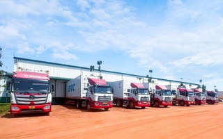 THILOGI tối ưu giải pháp chuỗi lạnh cho trái cây tươi xuất khẩu