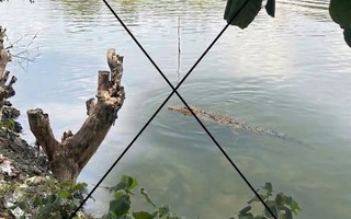 Thông tin lan truyền “cá sấu xuất hiện trên sông Chắc Băng”: Tạo ảnh bằng AI để mẹ dọa em gái!