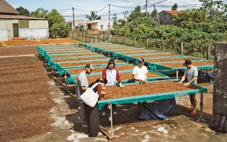 CÚ HÍCH NĂM DU LỊCH QUỐC GIA: Định hình bản sắc du lịch liên vùng