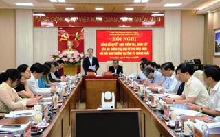 Bộ Chính trị công bố quyết định kiểm tra, giám sát với Ban thường vụ Tỉnh ủy Quảng Ngãi