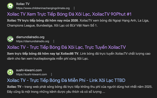 Khởi tố 2 "ông trùm" liên quan đến hệ thống "Xôi Lạc TV"