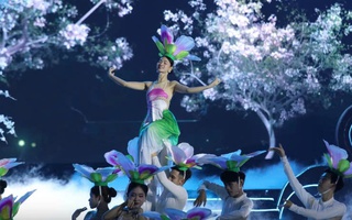 Nhiều hoạt động hấp dẫn tại Lễ hội Hoa ban 2026