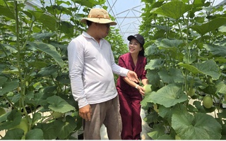 Quỹ hỗ trợ cộng đồng David Dương giúp người dân vươn lên làm giàu