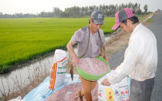 Xung đột Trung Đông khiến giá phân bón tăng mạnh, có tác động tới Việt Nam?