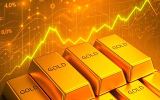 Nguồn gốc của gần 30kg vàng tinh khiết vừa được tỉnh Hà Tĩnh rao bán có từ đâu?