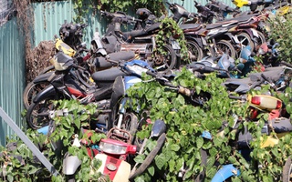 Tìm chủ 13 xe máy "bị bỏ rơi" ở TP HCM