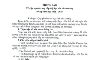 Phụ huynh cắt cơm bán trú sau vụ 300 tấn thịt lợn bệnh được đưa vào trường học