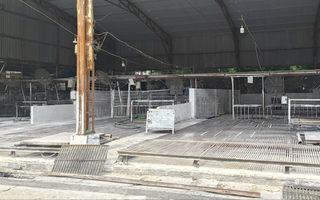 Cán bộ kiểm dịch thú y "vòi tiền" tiếp tay tiêu thụ 3.600 con heo bệnh