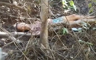 Giải cứu người phụ nữ mất tích 10 ngày trong rừng sâu ở Gia Lai