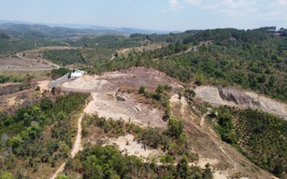 Ngăn rừng "chảy máu"