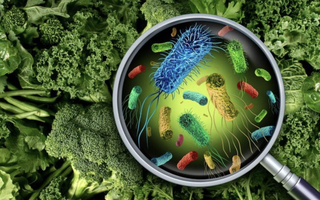 Vụ hàng chục học sinh tiểu học sốt, đau bụng: Nguyên nhân ban đầu hé lộ điều gì?