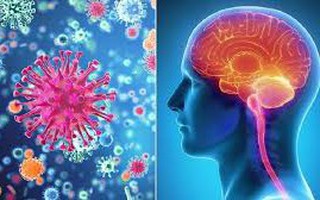 Cà Mau ghi nhận 3 trường hợp nghi viêm não mô cầu, 1 người tử vong