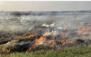 Chồng bàng hoàng phát hiện thi thể vợ trong đám cháy giữa đồng ở Cần Thơ