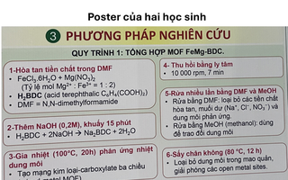Bộ GD-ĐT kết luận gì về nghi vấn dự án đoạt giải nhất bị tố đạo văn?