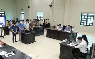 35 bị cáo đưa, nhận hối lộ trong cung cấp thực phẩm cho các trường mầm non