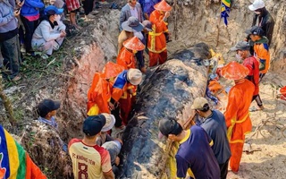Cá heo lụy ở bờ biển Sông Cầu, trước đó người dân nhiều lần đẩy ra nhưng cá vẫn dạt vào