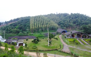 Thanh Hóa xin gỡ "nút thắt" cho công viên sinh thái tre luồng 300 tỉ đồng