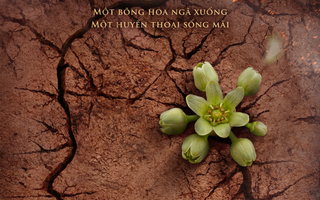 Huyền thoại Võ Thị Sáu trở lại màn ảnh rộng sau hơn 30 năm