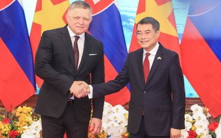 Nâng cấp quan hệ Việt Nam - Slovakia lên Đối tác chiến lược
