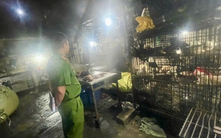 TPHCM: "Đột kích" 2 lò giết mổ chó, mèo trong khu dân cư