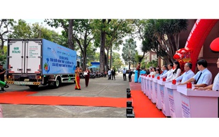 Đồng Tháp xuất khẩu lô bưởi đầu tiên sang Úc