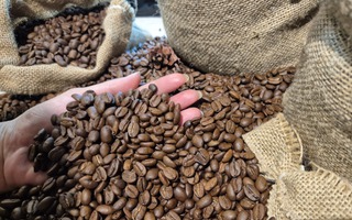 Giá cà phê hôm nay 14-4: Tăng trở lại, Mỹ tăng tốc nhập cà phê Việt