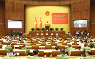 Mệnh lệnh hành động mới