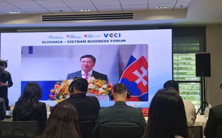 TPHCM mời doanh nghiệp Slovakia đồng hành xây dựng Trung tâm tài chính quốc tế