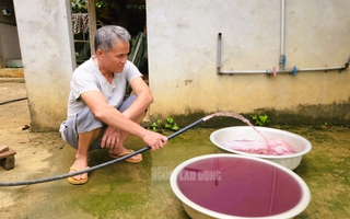 Nước giếng khoan nhà dân đổi màu tím, bốc mùi hôi thối bất thường