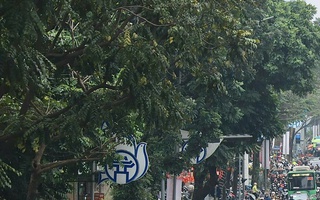 Thủ tướng yêu cầu không để ùn tắc kéo dài ở cửa ngõ Hà Nội, TPHCM dịp nghỉ lễ