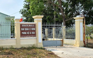 Bắt tạm giam một trưởng ban quản lý rừng phòng hộ