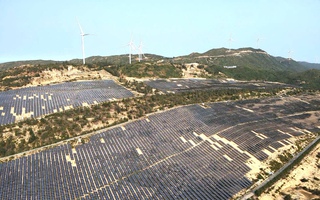 Gia Lai chấp thuận nhà đầu tư thực hiện 4 dự án điện gió, điện mặt trời 