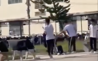 Vụ nữ sinh lớp 10 bị “đánh hội đồng” ở Gia Lai: Sự thật ra sao?