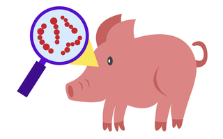 Ăn thịt heo chưa nấu chín, người đàn ông ở TPHCM nguy kịch